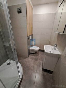 Pronájem bytu 1+kk, Plzeň - Doubravka, ulice Staniční, 20 m2