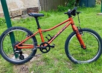 Amulet Tomcat 20"