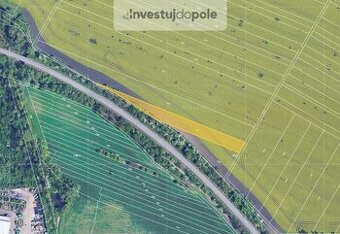 Prodej pole v k.ú. Sokolnice