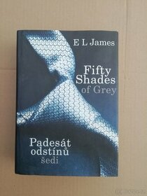 Fifty Shades of Grey 1 / Padesát odstínů šedi