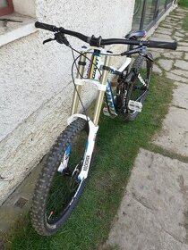 Giant Glory 2013