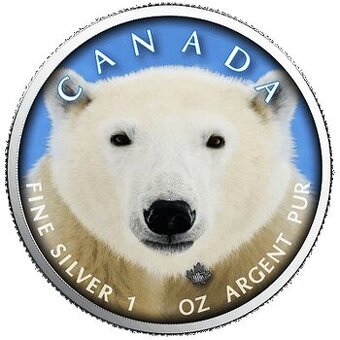 Kanada, 1 Oz 2019, Ag 999,9 Lední medvěd, raženo jen 500 ks