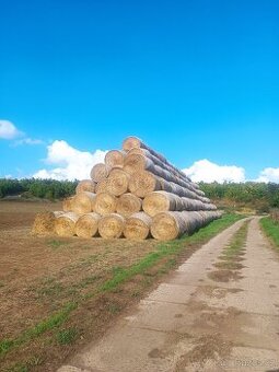 Sláma