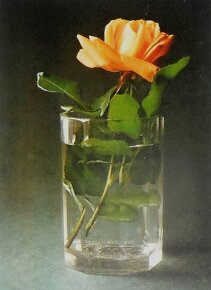 Vázu, sklenici na fotografii koupím - 1