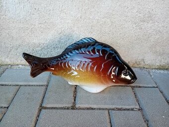 Kapr porcelánový - 1