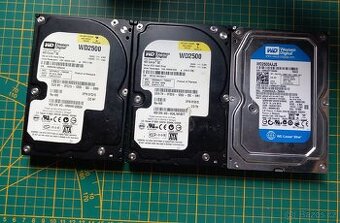 Hdd disky 250 Western Digital