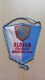 Sportovní vlaječka