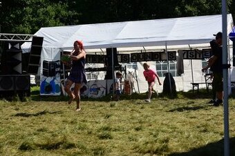 party stan 4x10m