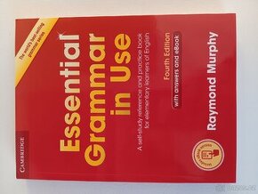 Kniha Essential Grammmar in Use