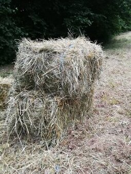 Prodám SENO malé balíky