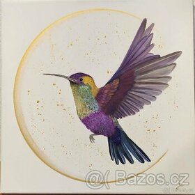 Energetická obraz kolibříka - 1