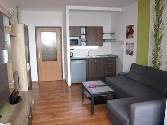 Pronájem bytu 1+kk s ložií - 1