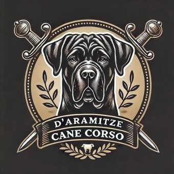 🌟Poslední 2 Štěňátka Cane Corso hledají nové domovy 🌟