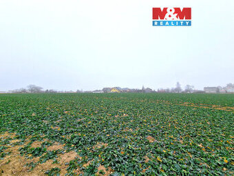 Prodej pozemku k bydlení, 5343 m², Štěpánkovice - 1