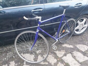 Singlespeed, favorit retromodbajk