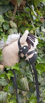 Hobby horse
