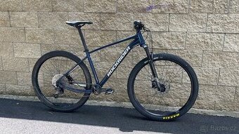 Horské kolo Rockrider XC100 29 , L