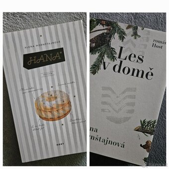 knihy Alena Mornštajnová - Hana + Les v domě - 1