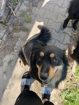 Daruji fenku jen do dobrých rukou