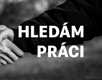Nabízíme pracovní sílu pro vase projekty