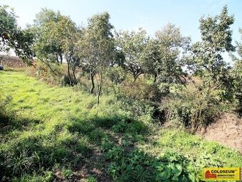 Úvaly u Valtic, pozemek - zahrada, 447m² - pozemek