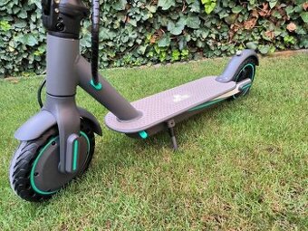 Elektricka kolobezka 33 km/h 2025 ZARUKA - DOPRAVA ZDARMA