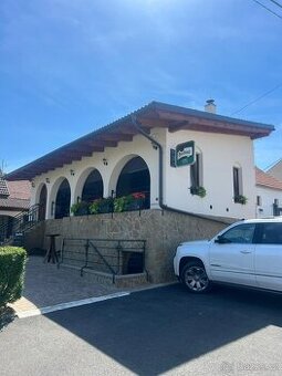 Pronájem baru (vinárny, kavárny)-zařízené-Velké Pavlovice