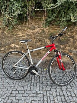 Kolo WHEELER ❤️ Rám L-XL pro výšku 160-180👫