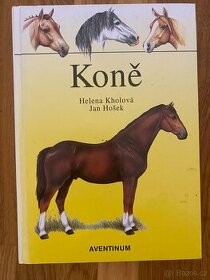 Koně, Kholová H., Hošek J.