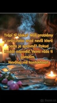Profesionální výklad karet