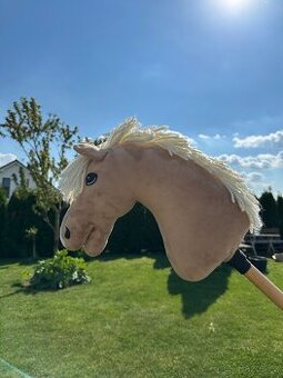 Hobby horse