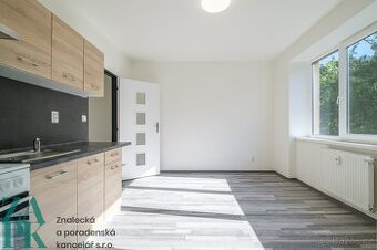 Pronájem bytu 1+1, Střekov, Ústí nad Labem, ev.č. 01071