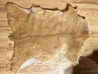 NOVÁ luxusní kozí kůže - kozinka "blond" 80x60