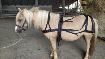 Poprsní postroj na poníka