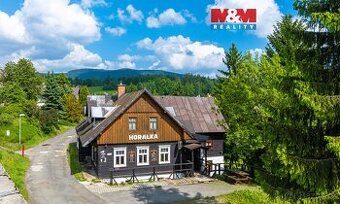Prodej hotelu, penzionu v Rokytnici nad Jizerou, ul. Horní R