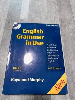 Učebnice English grammar in use