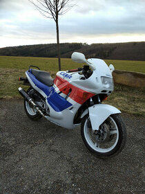 Honda CBR 600 F SuperSport 1989 Vajíčko