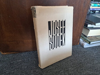 Josef Sudek Fotografie