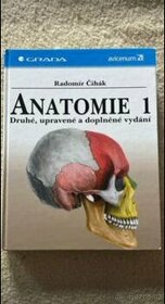Anatomie - Čihák