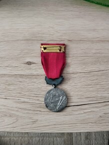 VYZNAMENANI A ODZNAKY