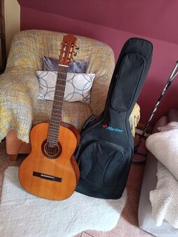 Kytara Martinez Minyard Guitars