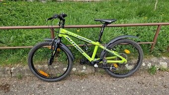 Author Cosmic 20"