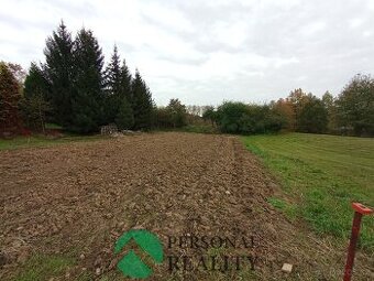 Prodej, pozemky pro bydlení, 10102 m2 - Všesulov - 1