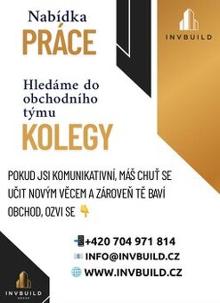 Brigáda , práce na ŽL