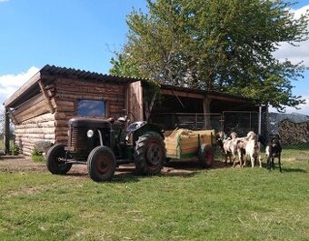 Koupim zetor 15