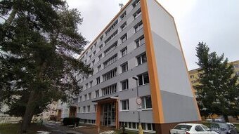 Dlouhodobý pronájem bytu 1+1 v D.K.n/L nedaleko centra