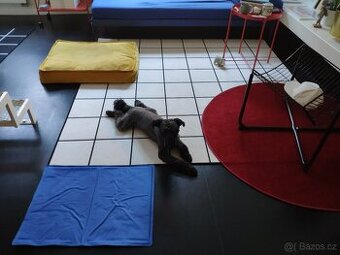 Venkovní koberec IKEA Svallerup, 2x2m
