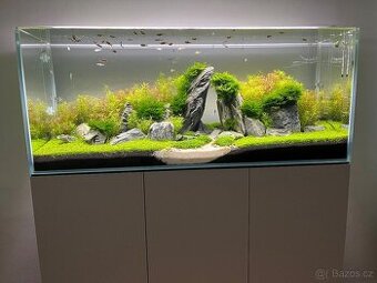 Akvarium Opti white 240 l + skříňka,kryt a světlo - 1