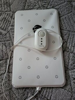 Monitor dechu Nanny