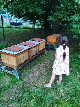 Vyzimovaná včelstva